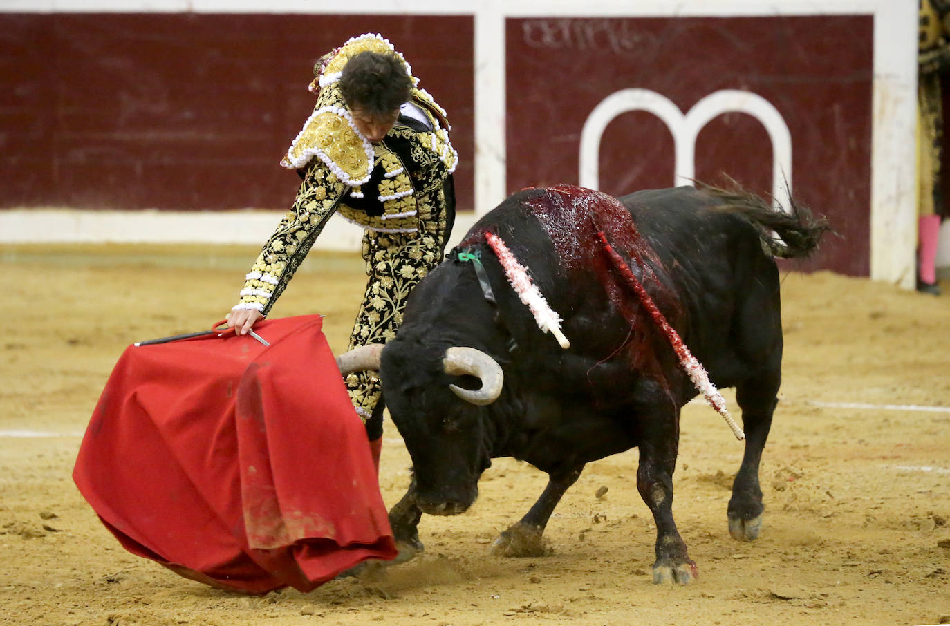 Aguado, Roca Rey y Ortega, en la tercera corrida de la feria de San Mateo