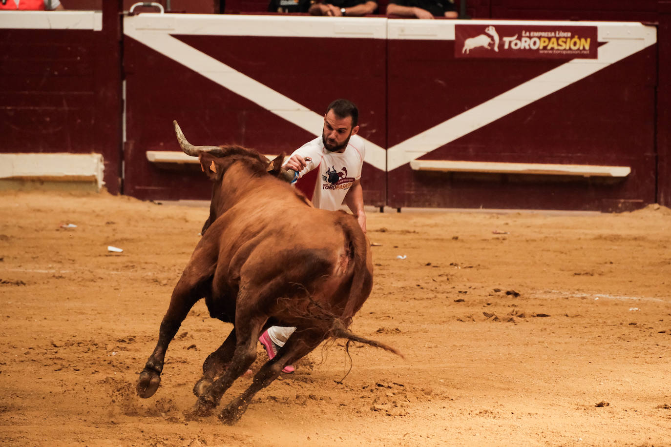 Las vaquillas no defraudan en el martes mateo