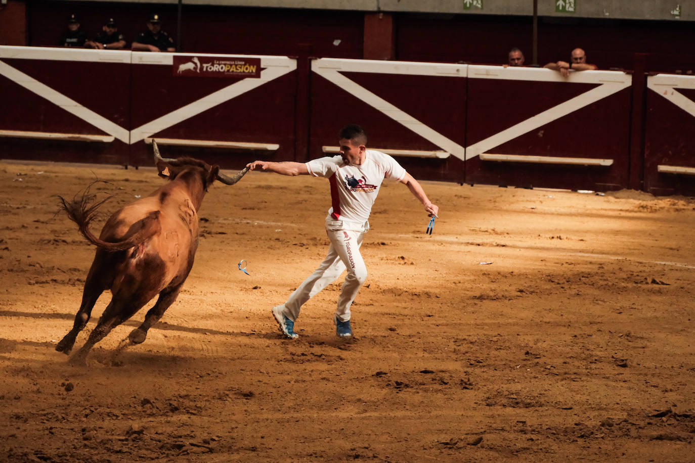 Las vaquillas no defraudan en el martes mateo