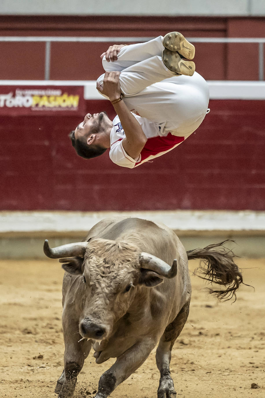 Concurso de recortes en la plaza de toros La Ribera, en imágenes