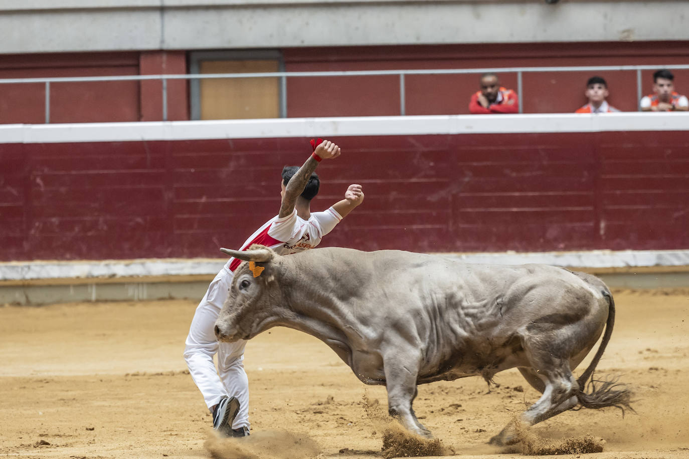 Concurso de recortes en la plaza de toros La Ribera, en imágenes