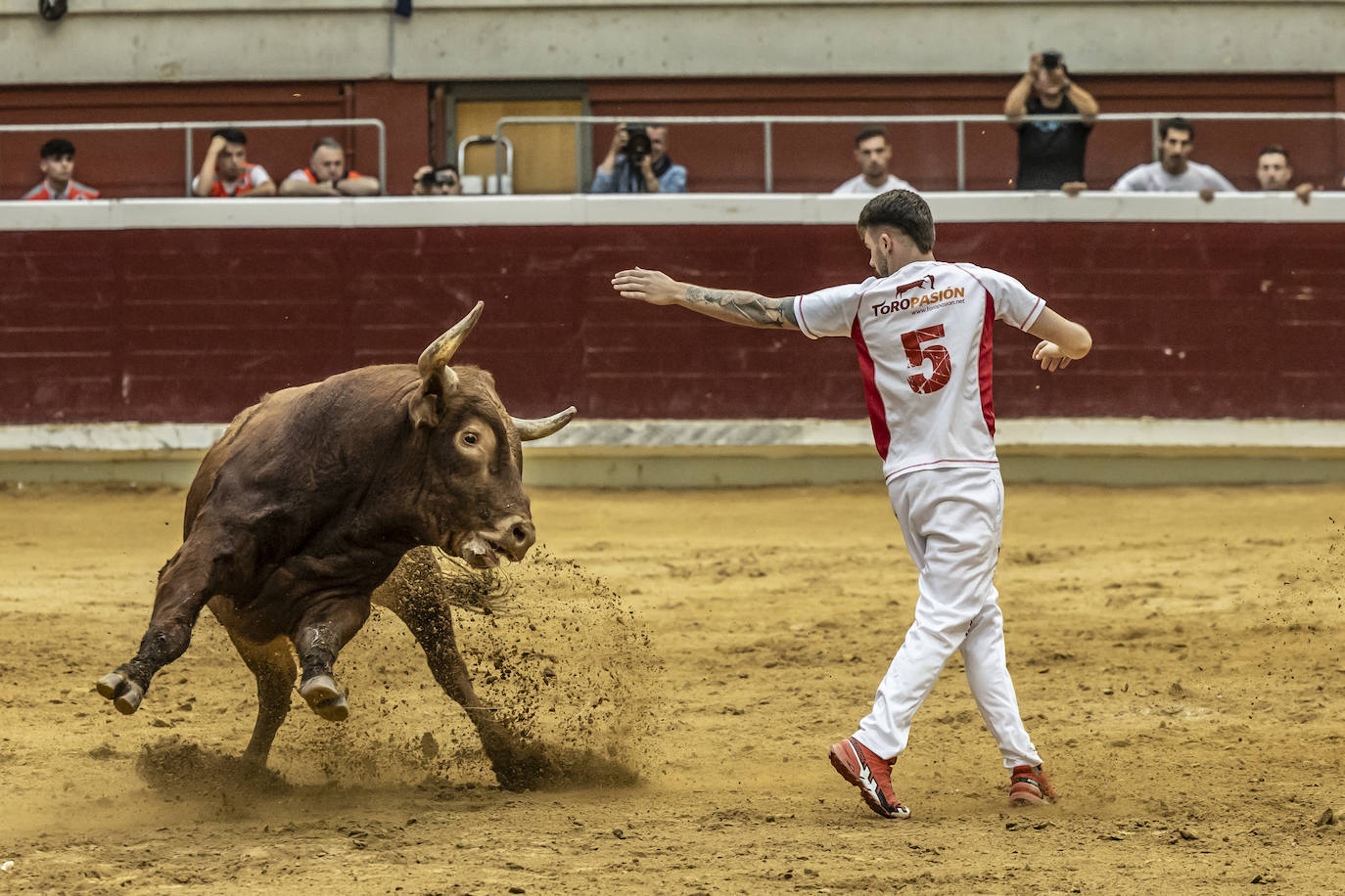 Concurso de recortes en la plaza de toros La Ribera, en imágenes