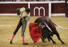 Roca Rey resultó volteado por el segundo de la tarde en la plaza de La Ribera de Logroño, aunque se escapó de la cornada.