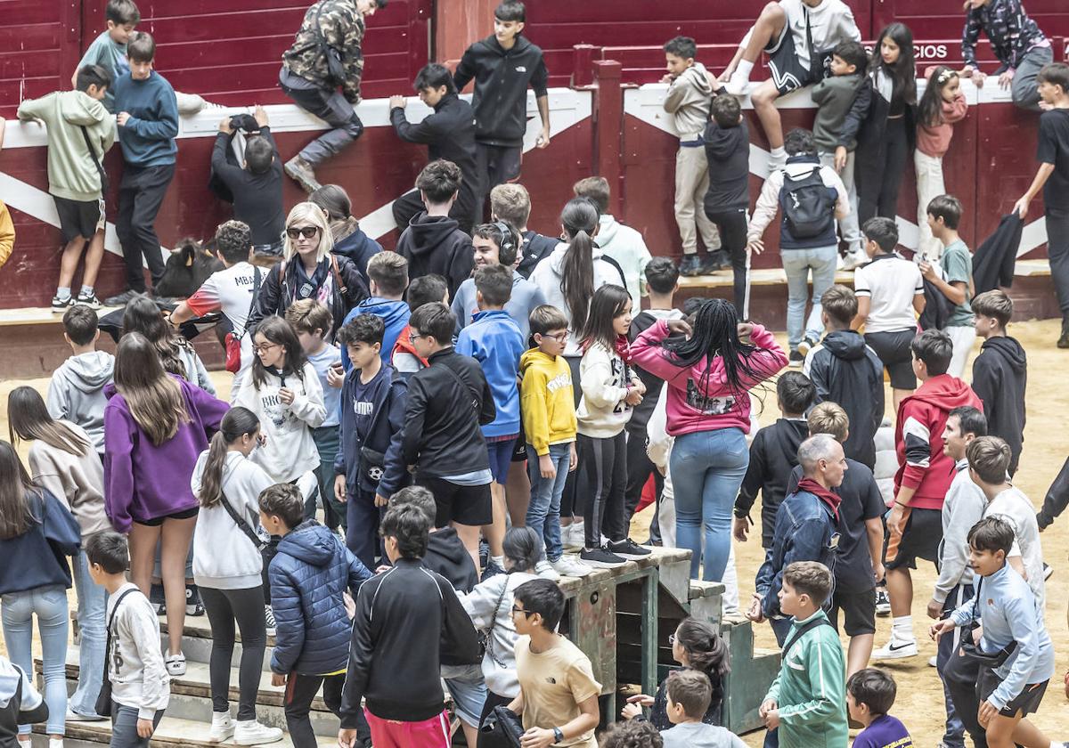 La Ribera acoge las vaquillas y el certamen de becerristas &#039;Quiero ser torero como Diego Urdiales&#039;