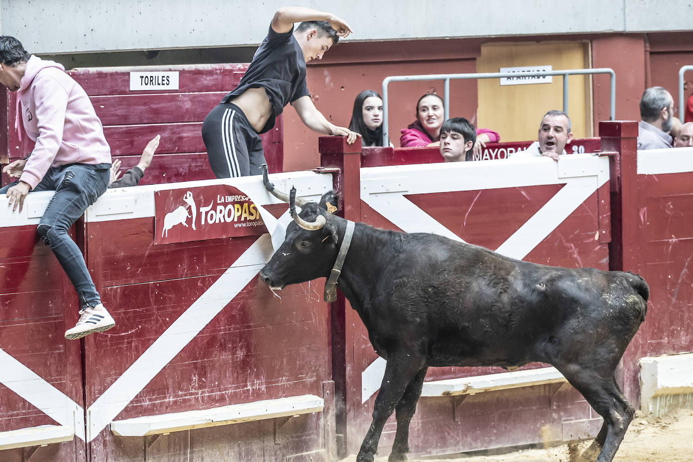 La Ribera acoge las vaquillas y el certamen de becerristas &#039;Quiero ser torero como Diego Urdiales&#039;