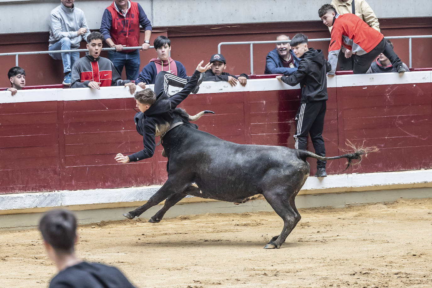 La Ribera acoge las vaquillas y el certamen de becerristas &#039;Quiero ser torero como Diego Urdiales&#039;