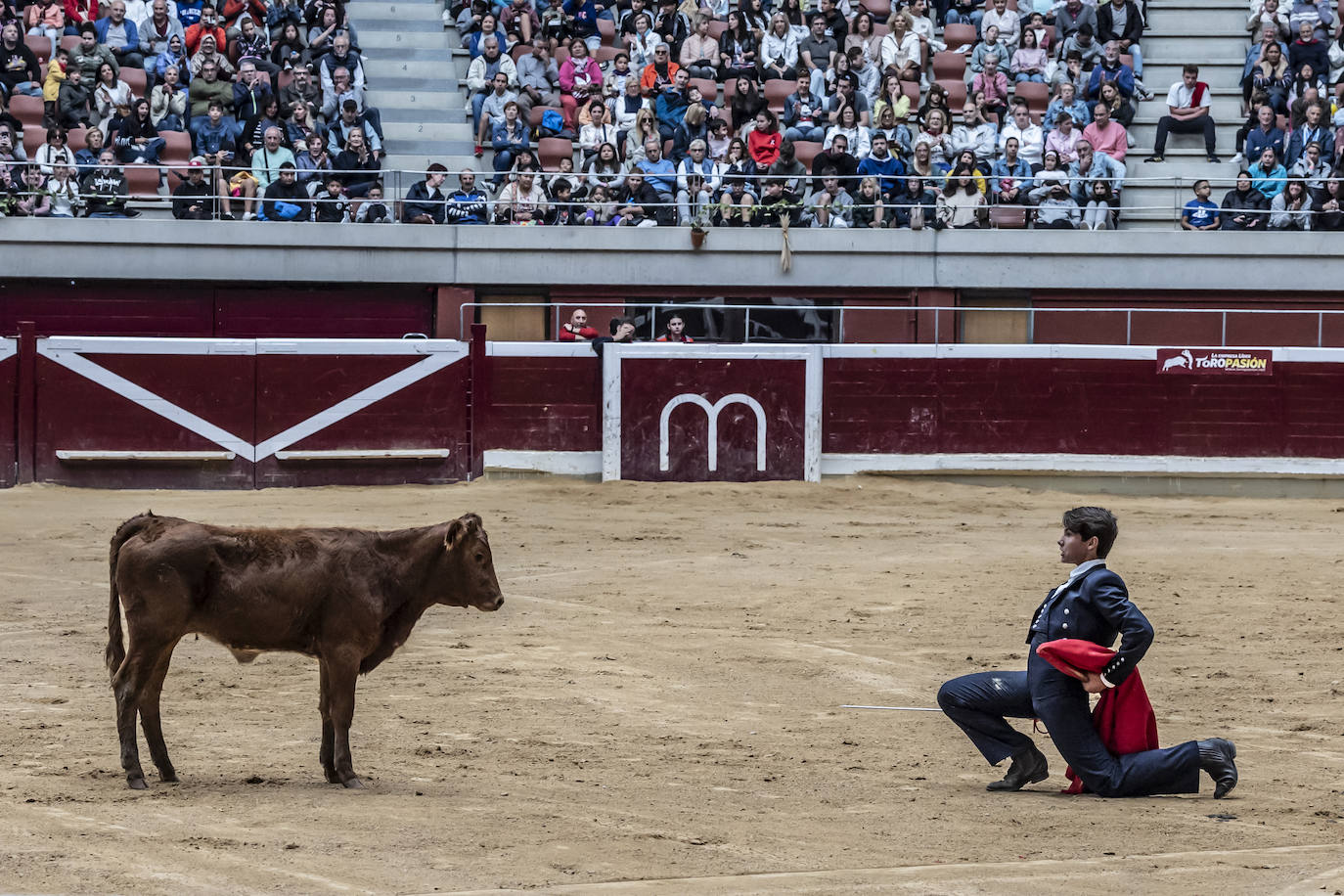 La Ribera acoge las vaquillas y el certamen de becerristas &#039;Quiero ser torero como Diego Urdiales&#039;