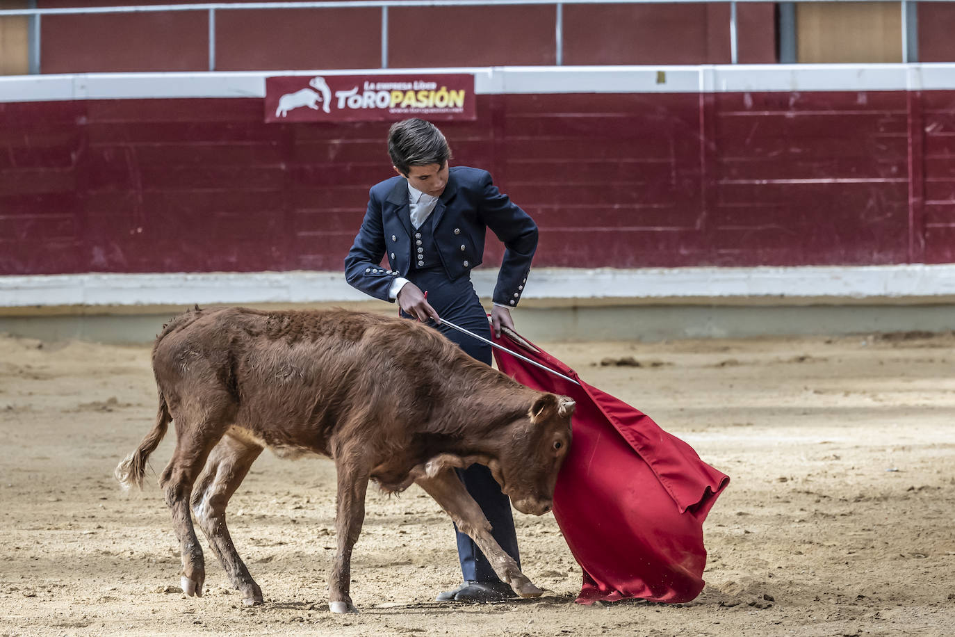 La Ribera acoge las vaquillas y el certamen de becerristas &#039;Quiero ser torero como Diego Urdiales&#039;