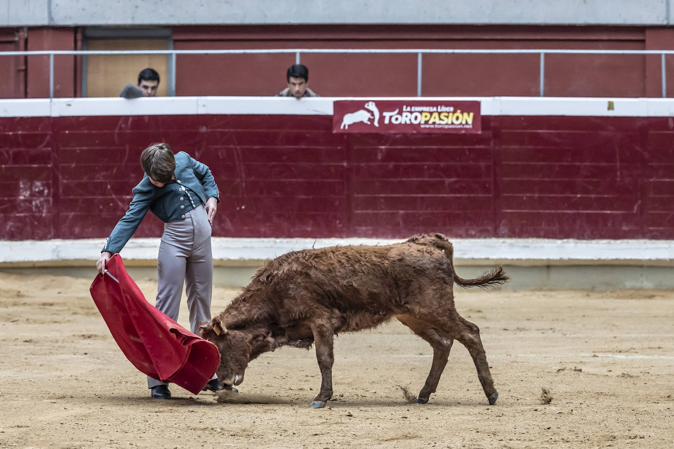 La Ribera acoge las vaquillas y el certamen de becerristas &#039;Quiero ser torero como Diego Urdiales&#039;