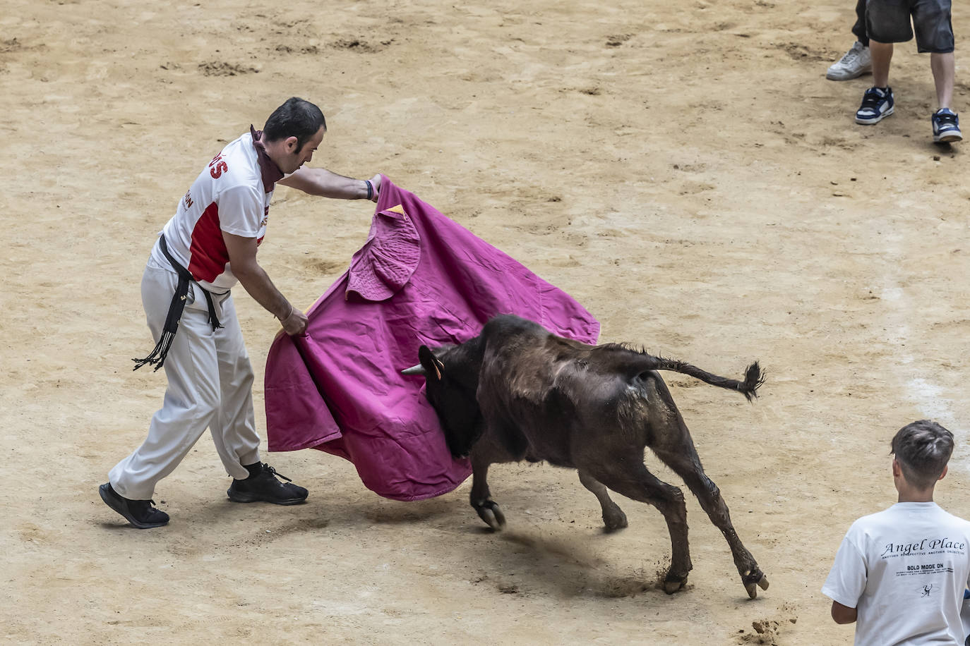 La Ribera acoge las vaquillas y el certamen de becerristas &#039;Quiero ser torero como Diego Urdiales&#039;