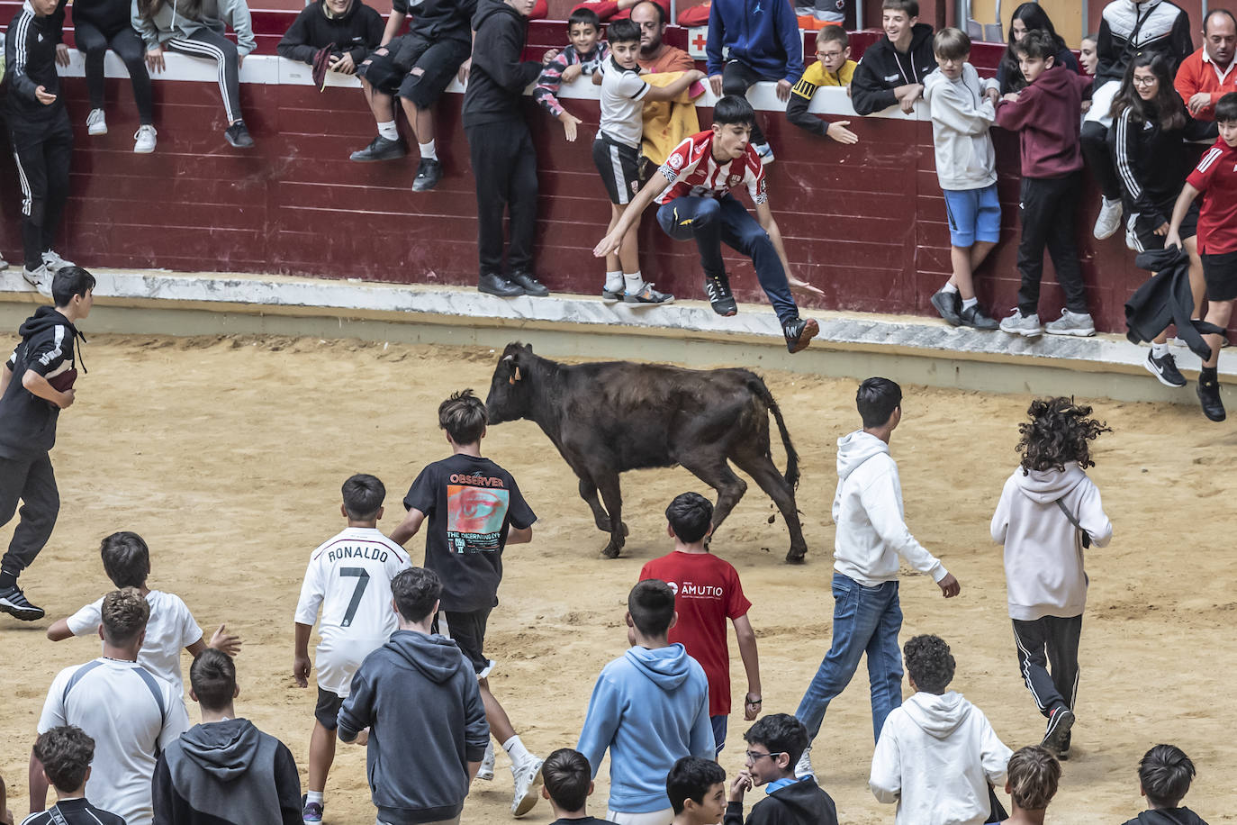 La Ribera acoge las vaquillas y el certamen de becerristas &#039;Quiero ser torero como Diego Urdiales&#039;