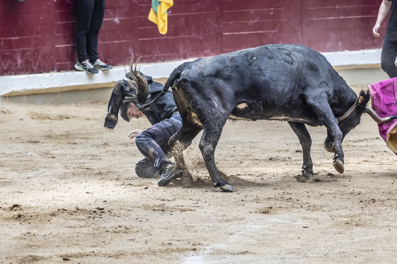 La Ribera acoge las vaquillas y el certamen de becerristas &#039;Quiero ser torero como Diego Urdiales&#039;