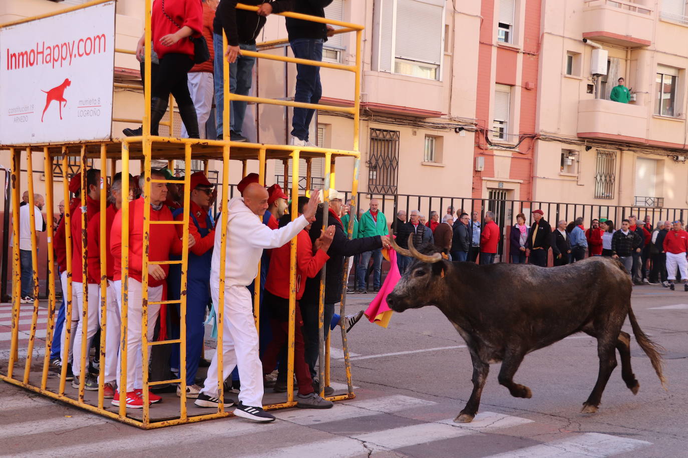 Arnedo continúa con sus fiestas de San Cosme y San Damián