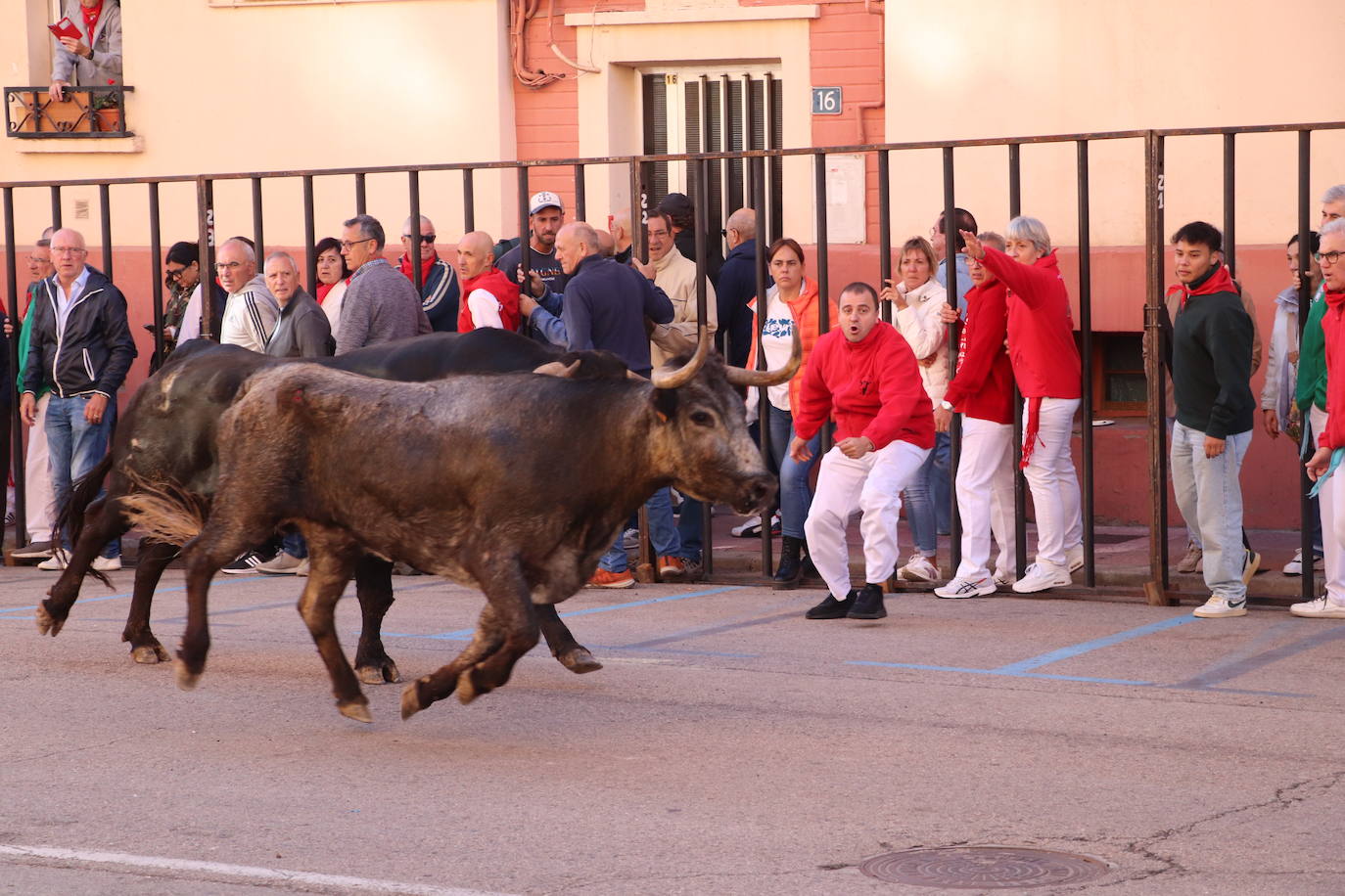 Arnedo continúa con sus fiestas de San Cosme y San Damián