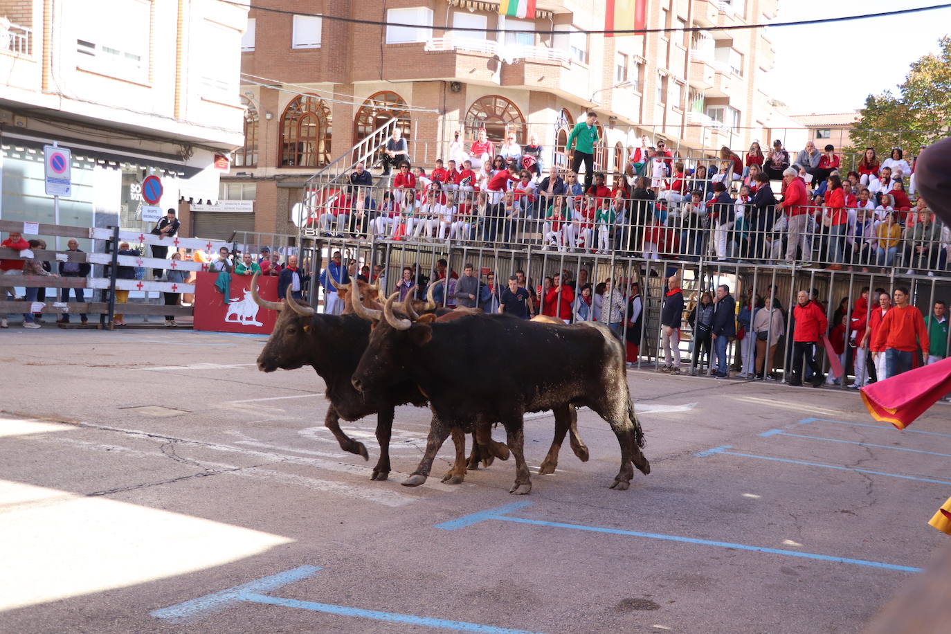 Arnedo continúa de fiesta