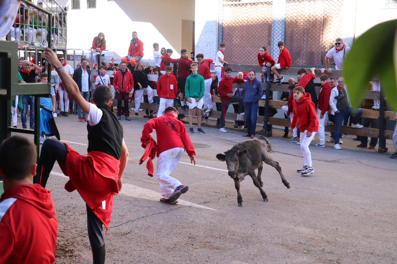 Arnedo continúa de fiesta