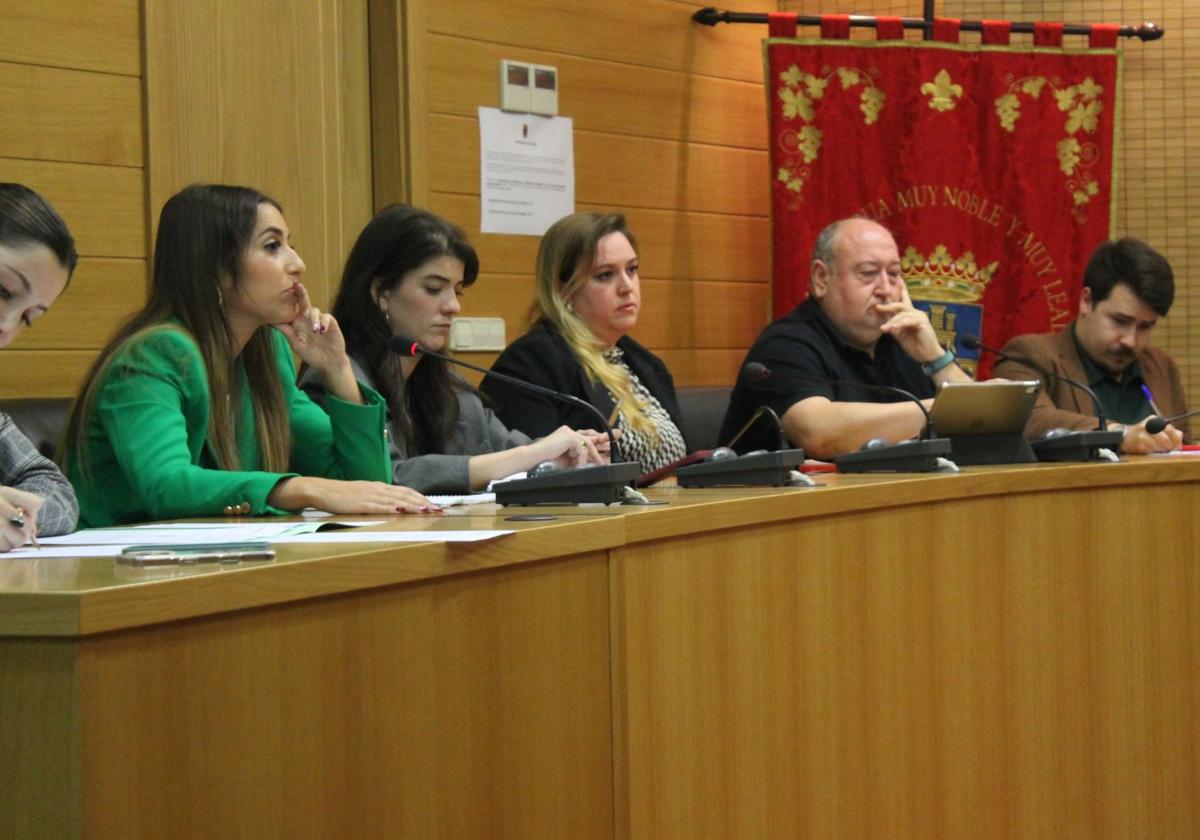 El pleno se queda con 12 ediles tras el adiós de Bezares