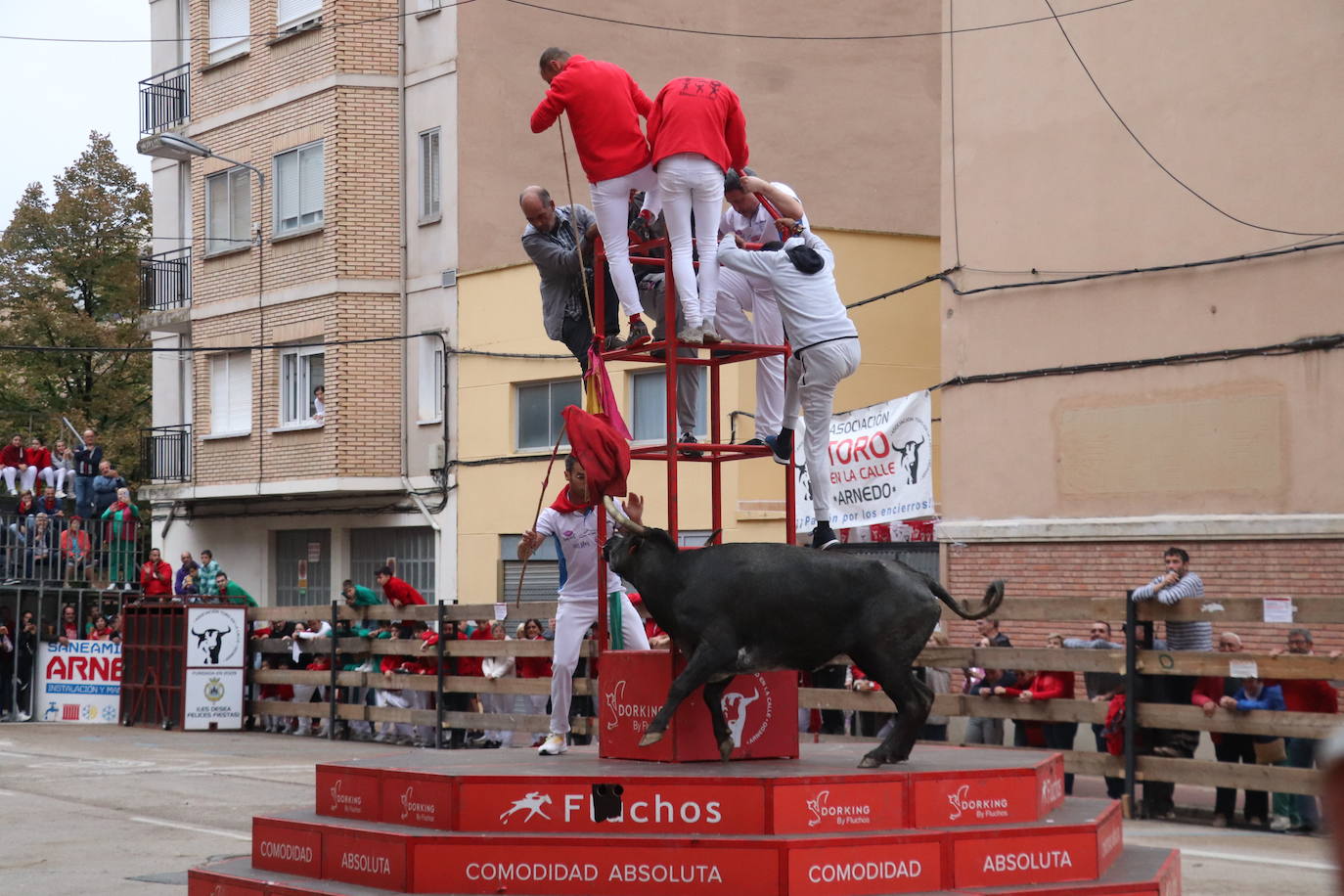 Último día de fiestas de Arnedo