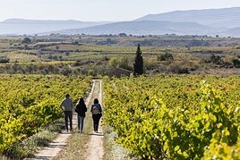 Paseo entre los viñedos de Finca El Regalo, con la ermita Nuestra Señora de El Regalo al fondo.