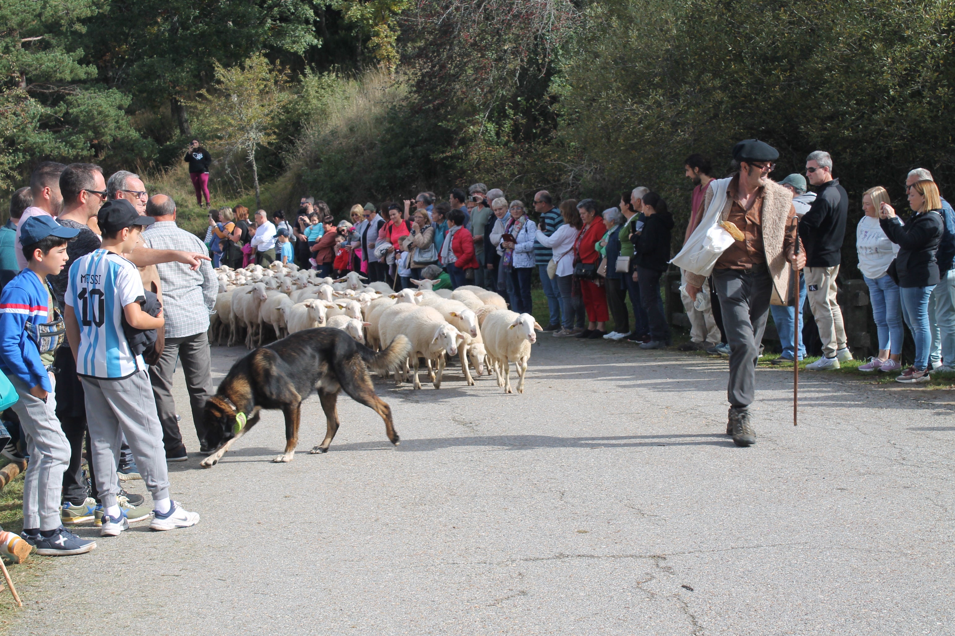 La fiesta de la Trashumancia, en imágenes