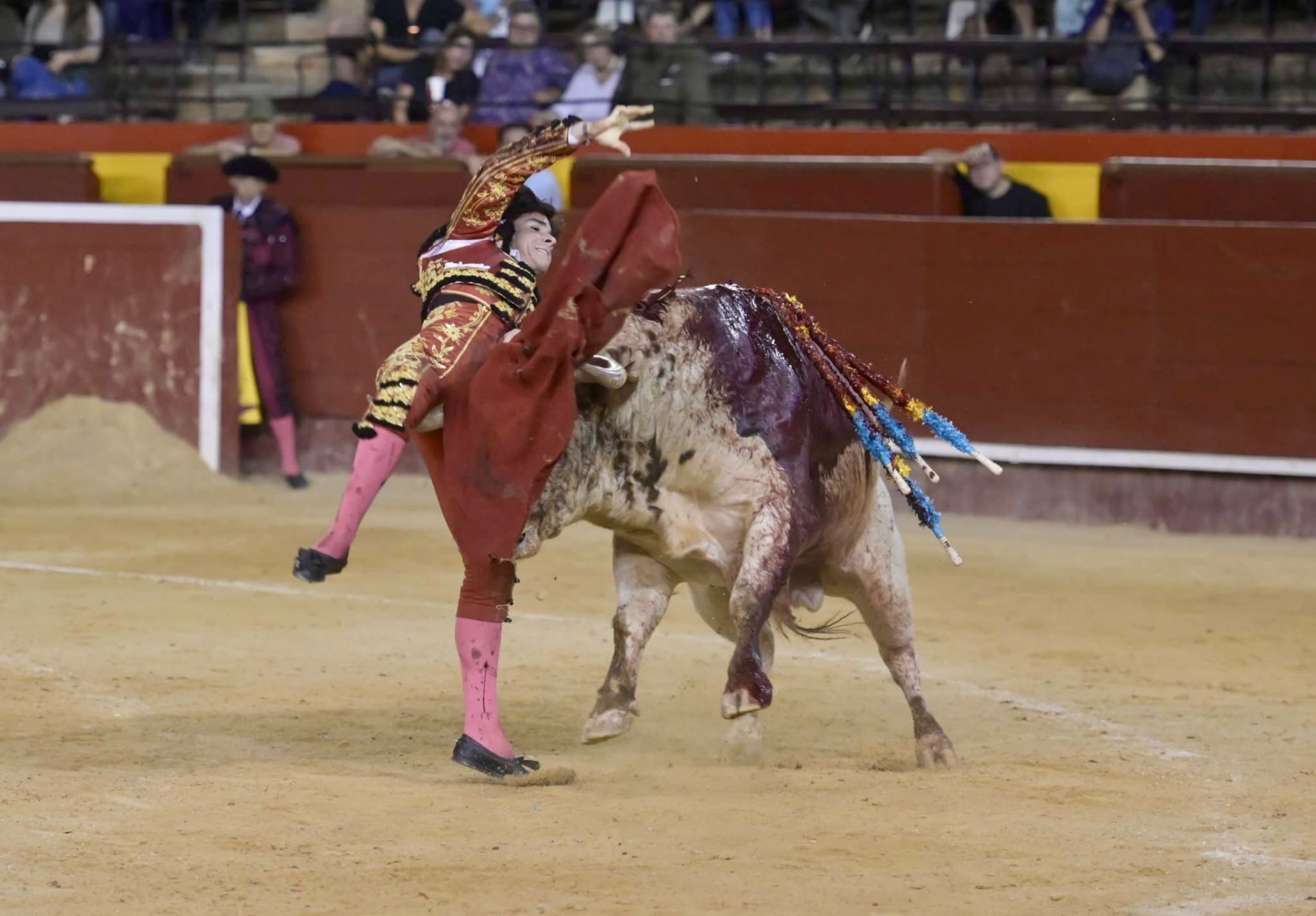 Alberto Donaire, cogido en Valencia