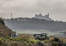 Remolque cargado con uvas estos días en La Rioja Alta