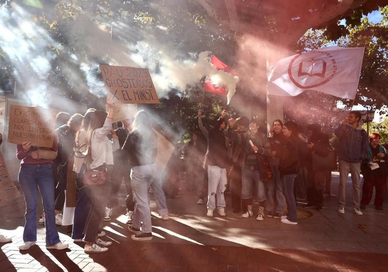 Un grupo de manifestantes, frente a la Delegación del Gobierno.