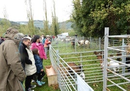 Centenares de visitantes disfrutaron con los animales de la exposición de ganado, ubicada en los ribazos del río Oja.