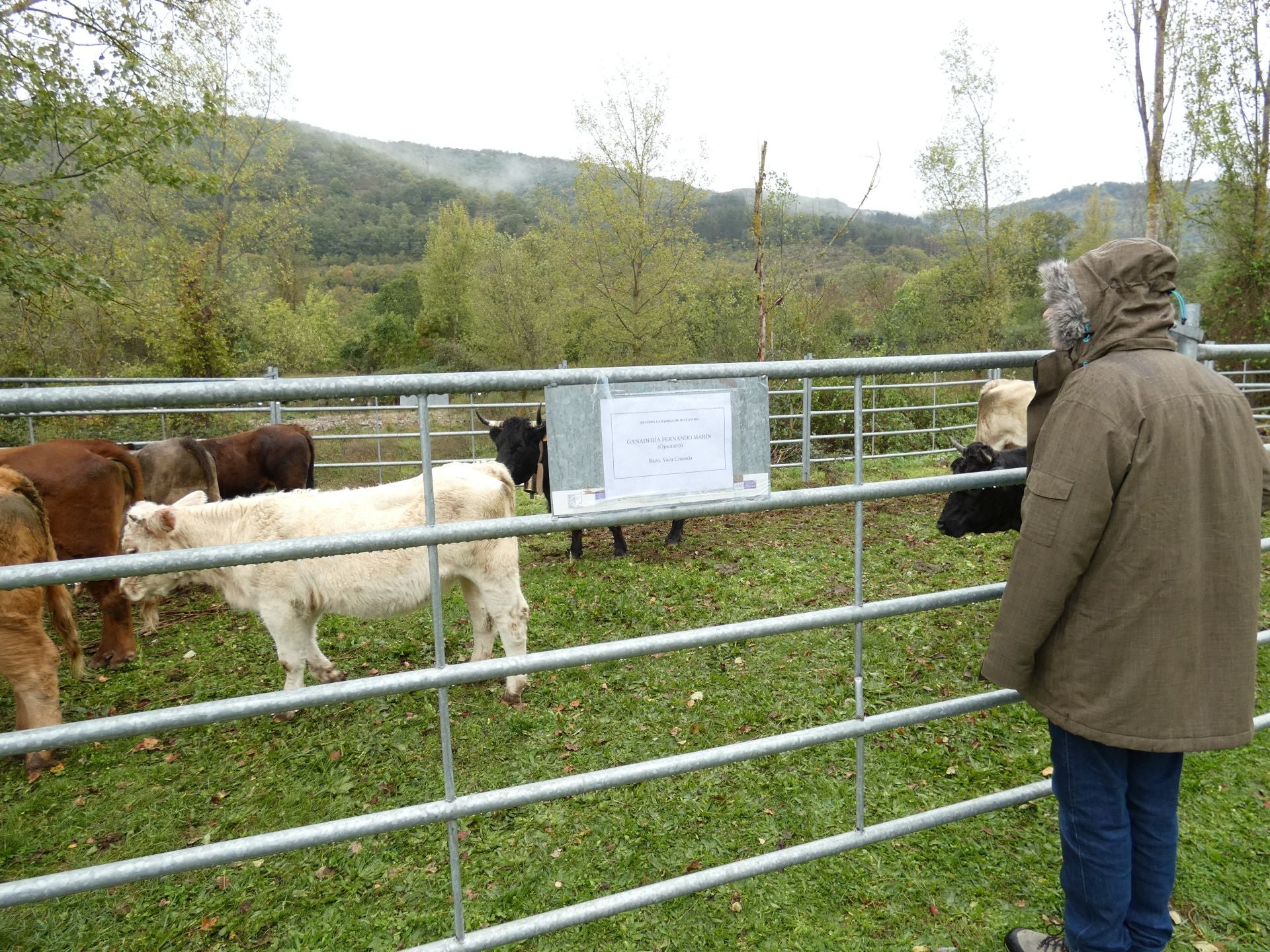 La feria ganadera y agroalimentaria de Ojacastro, en imágenes