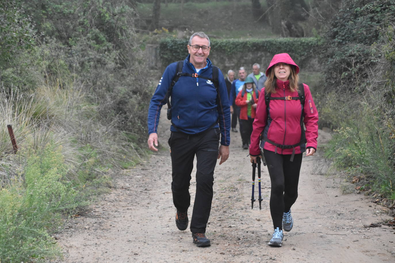 VIII Carrera y marcha solidaria de El Redal