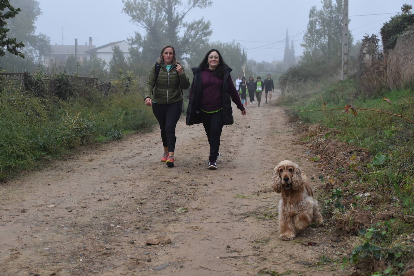 VIII Carrera y marcha solidaria de El Redal