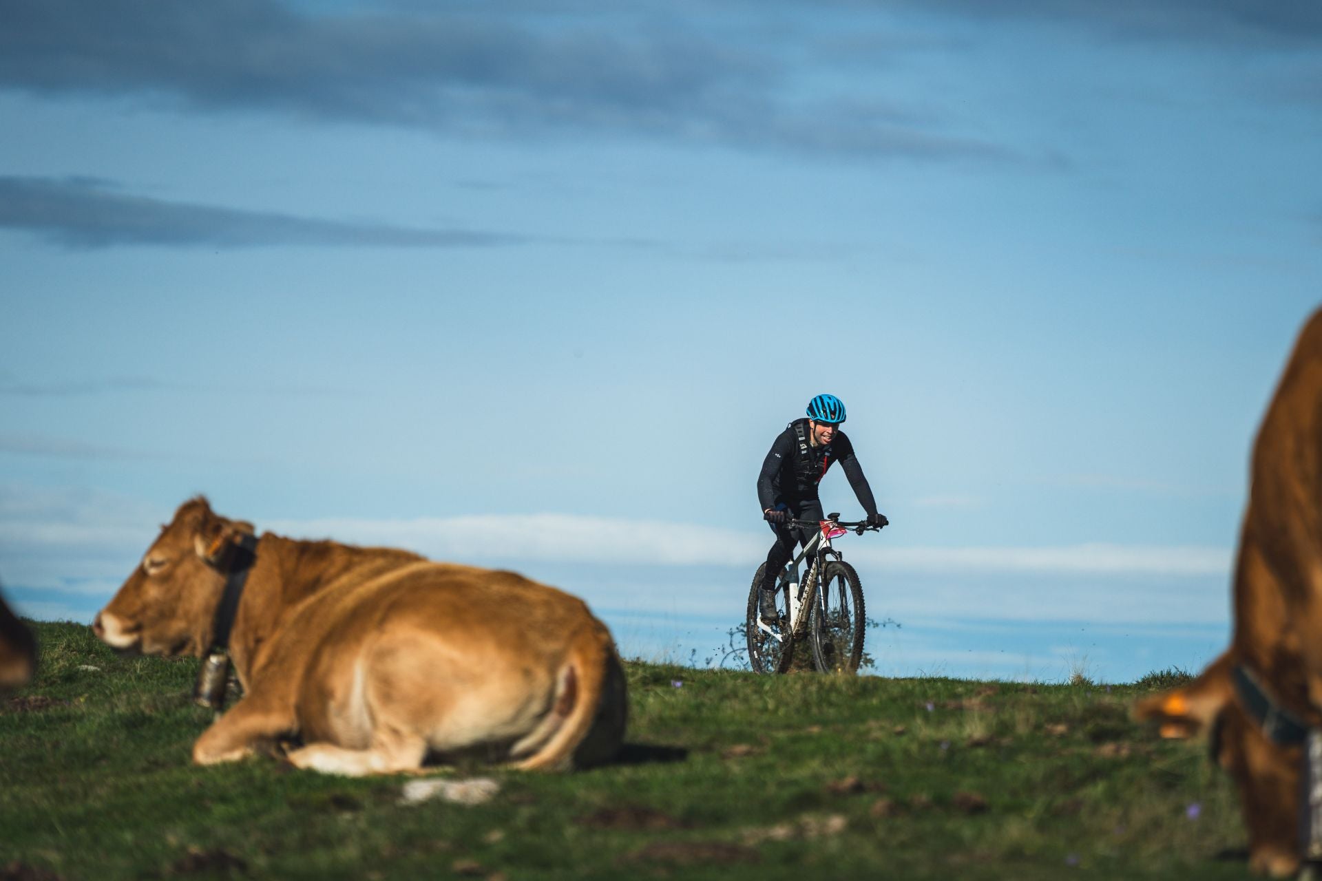 Primera edición del Territorio Coloma 2024