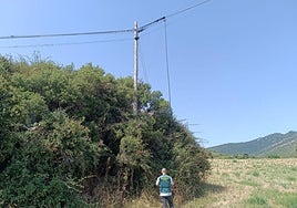 Un guardia civil observa la zona en la que se cometió el robo de cabel.