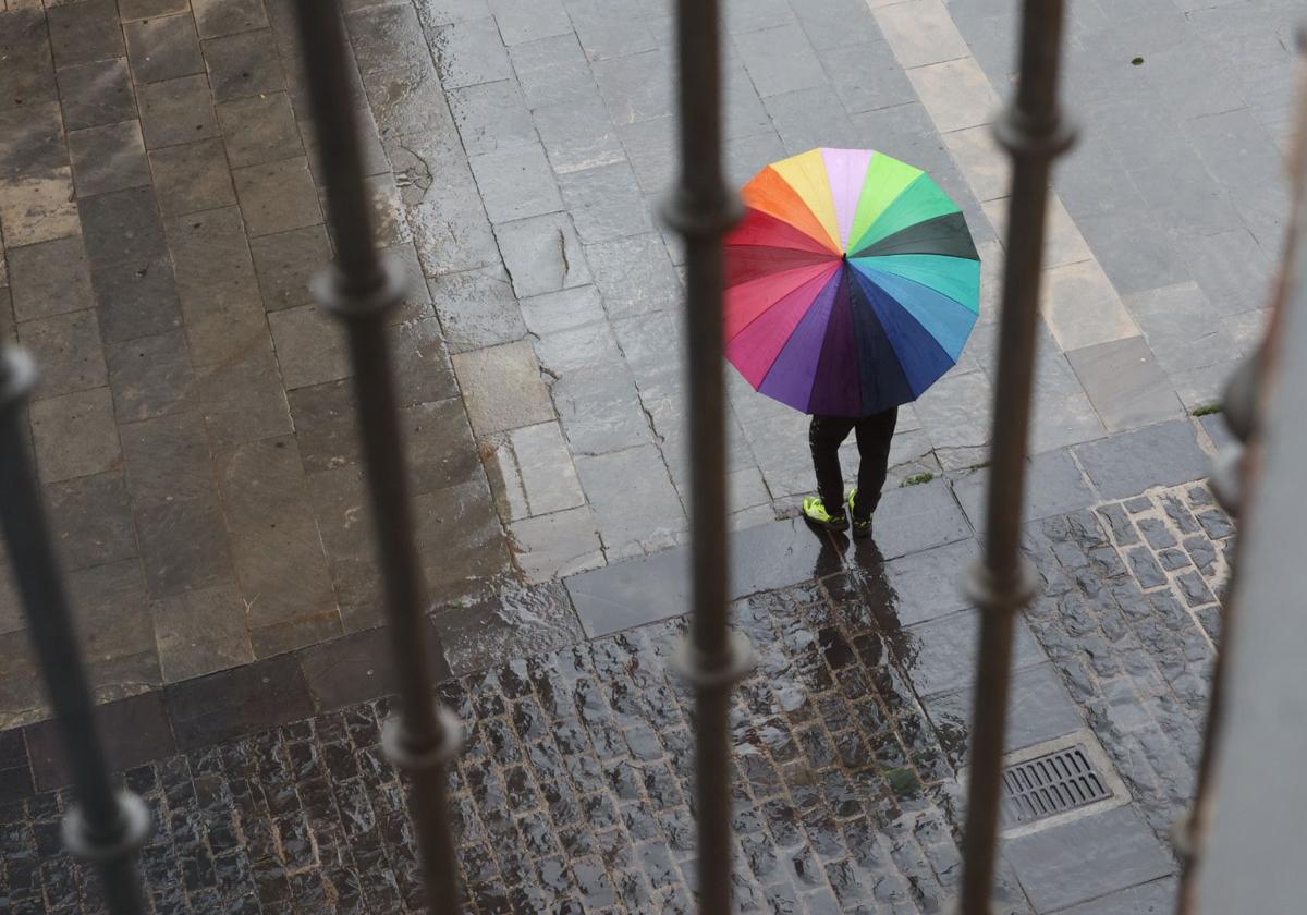 Lluvia en Logroño este viernes.