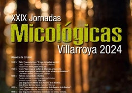 Talleres y pinchos en las Jornadas Micológicas de Villarroya