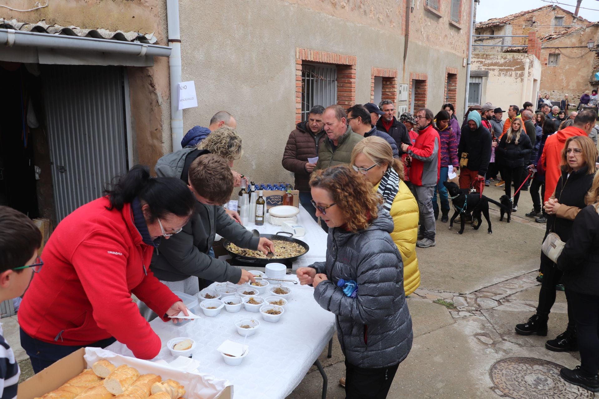 Las XXIX Jornadas Micológicas de Villarroya reúnen a cientos de personas