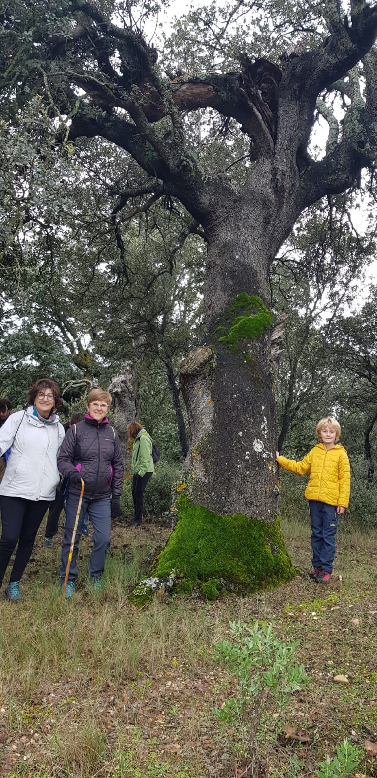 Las XXIX Jornadas Micológicas de Villarroya reúnen a cientos de personas