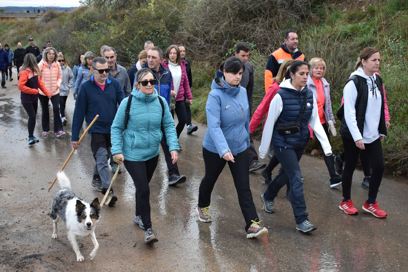 Los riojanos se vuelcan con la marcha de Amade contra el cáncer