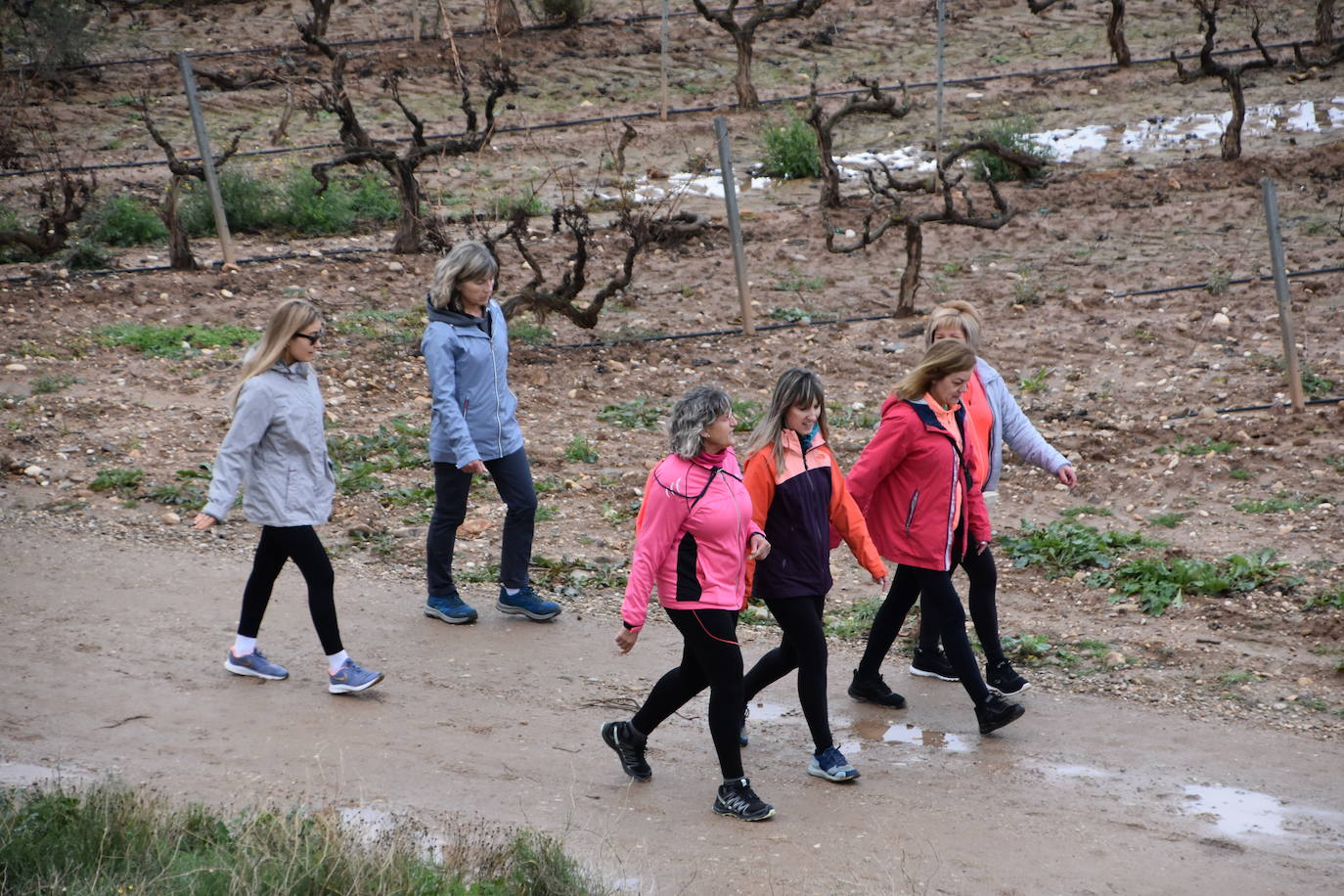 Los riojanos se vuelcan con la marcha de Amade contra el cáncer