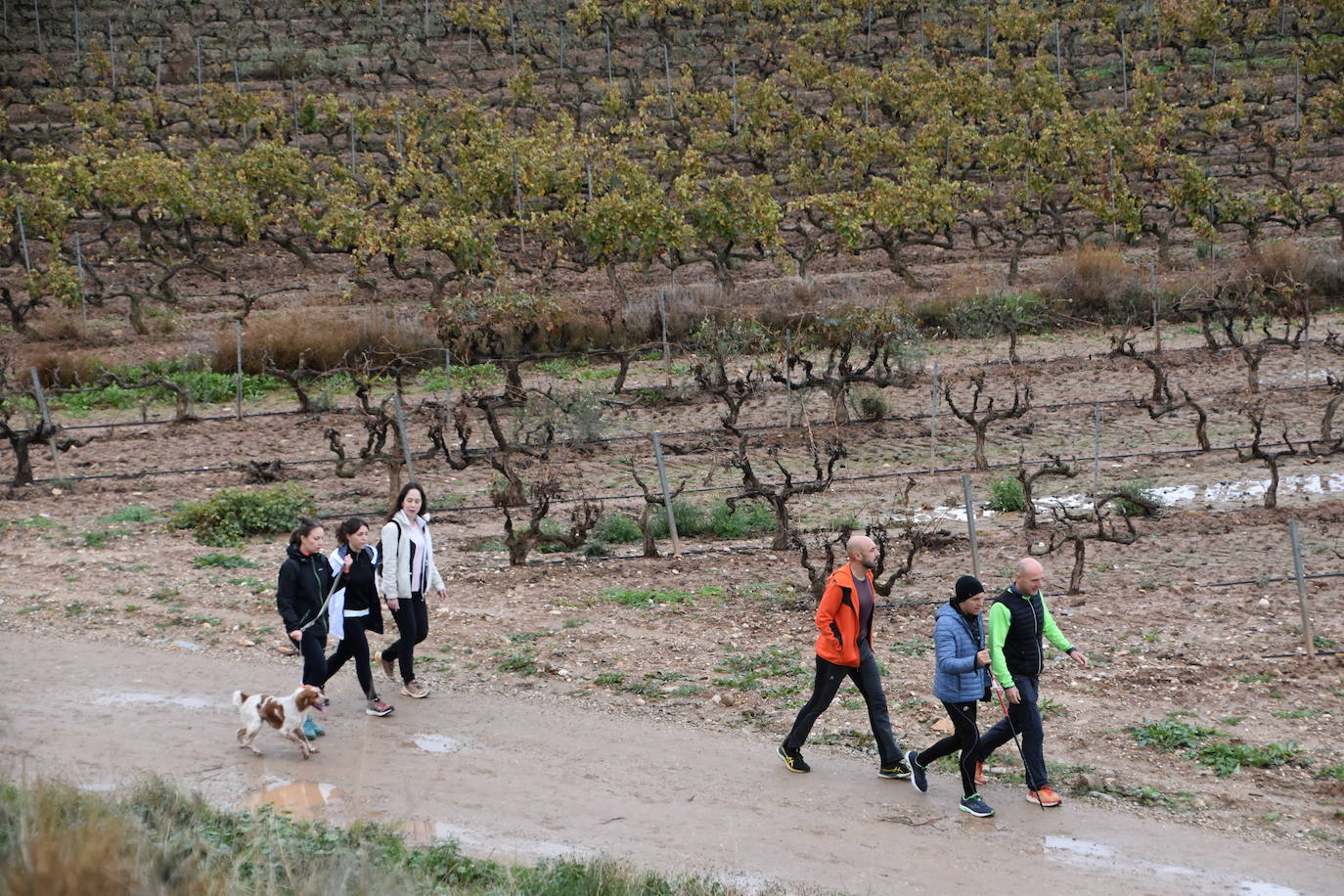 Los riojanos se vuelcan con la marcha de Amade contra el cáncer