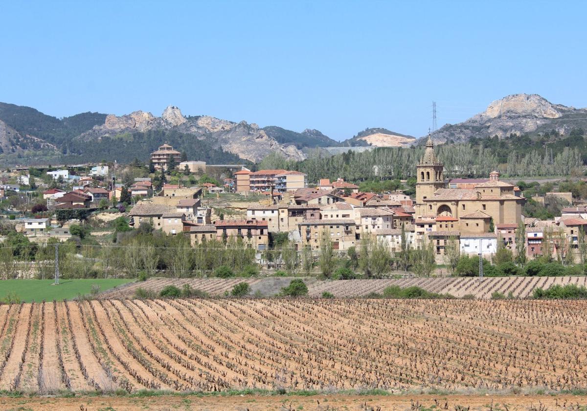 Panorámica de Briñas, el pueblo con menor desigualdad de renta