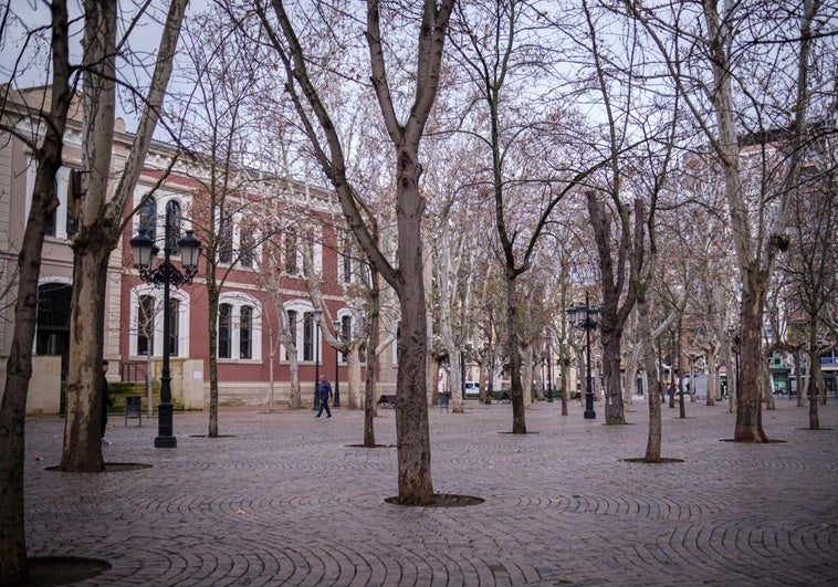 La primera fase de la Glorieta del doctor Zubía, a contratación