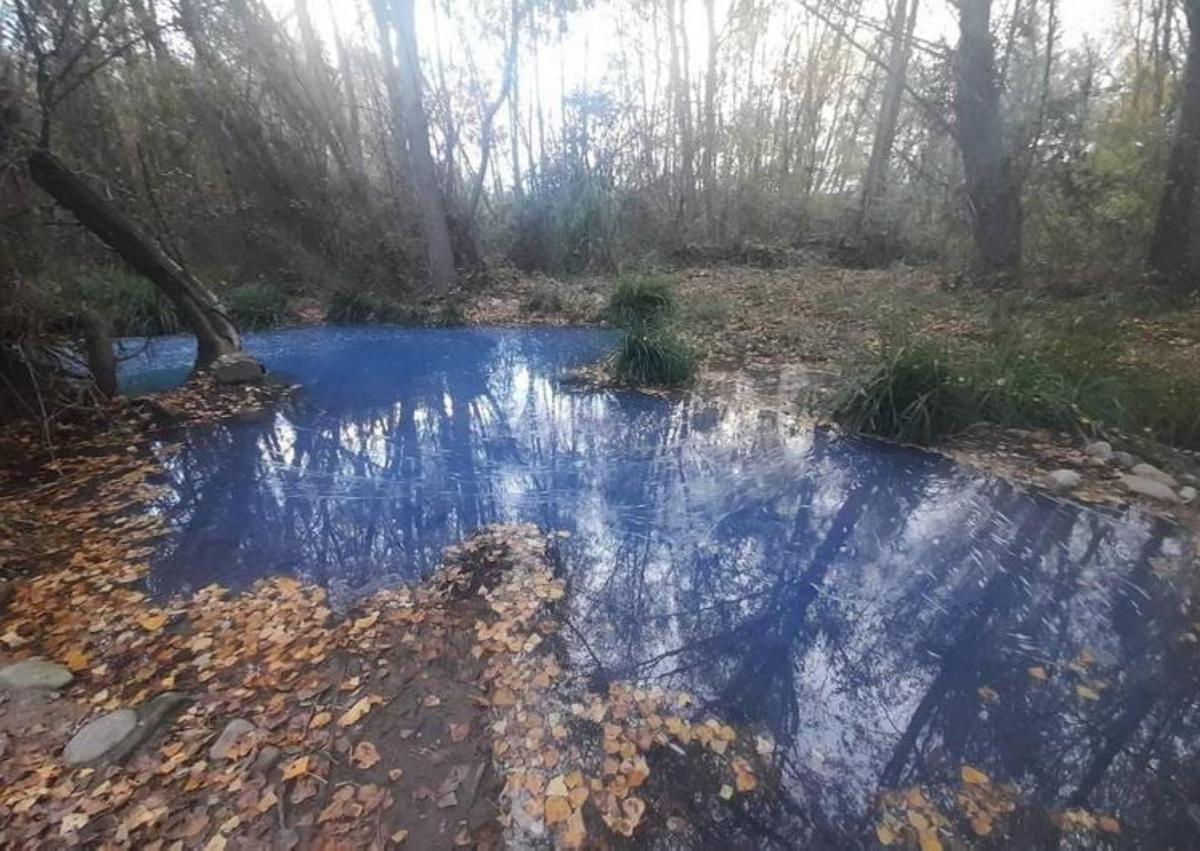 Imagen secundaria 1 - Los pesticidas prohibidos persisten en la tierra y el agua de La Rioja tras décadas