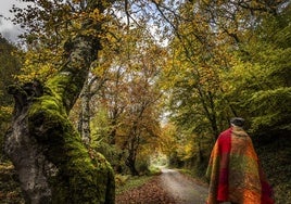 Un hombre pasea por el barranco El Rajao de Tobía durante esta semana, uno de los rincones más bonitos de La Rioja en otoño.