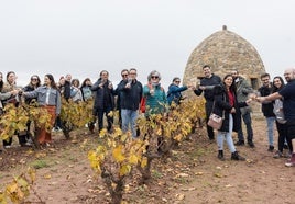 Visita sobre el viñedo al chozo de David Moreno, en Badarán.