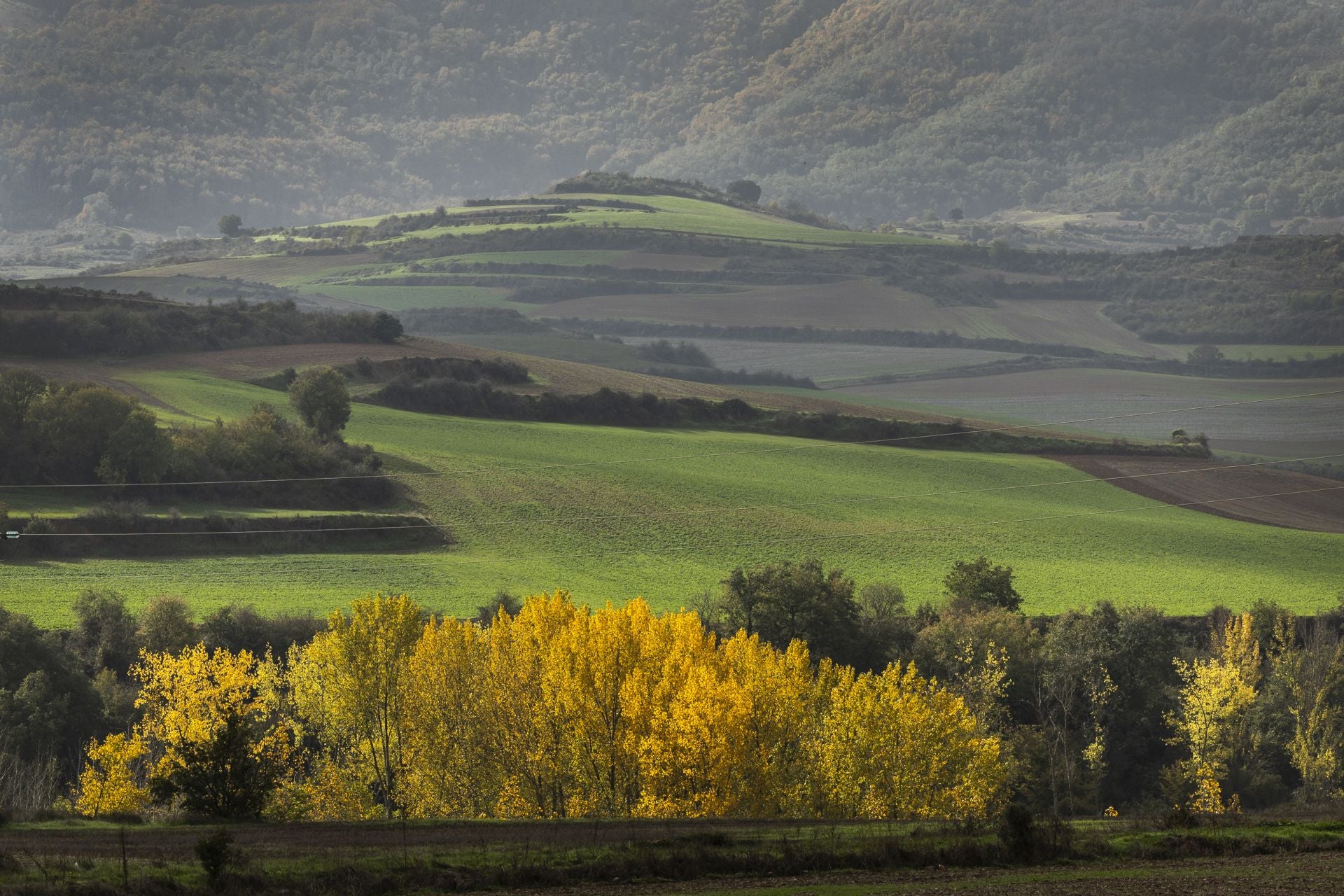 Colorido otoño riojano