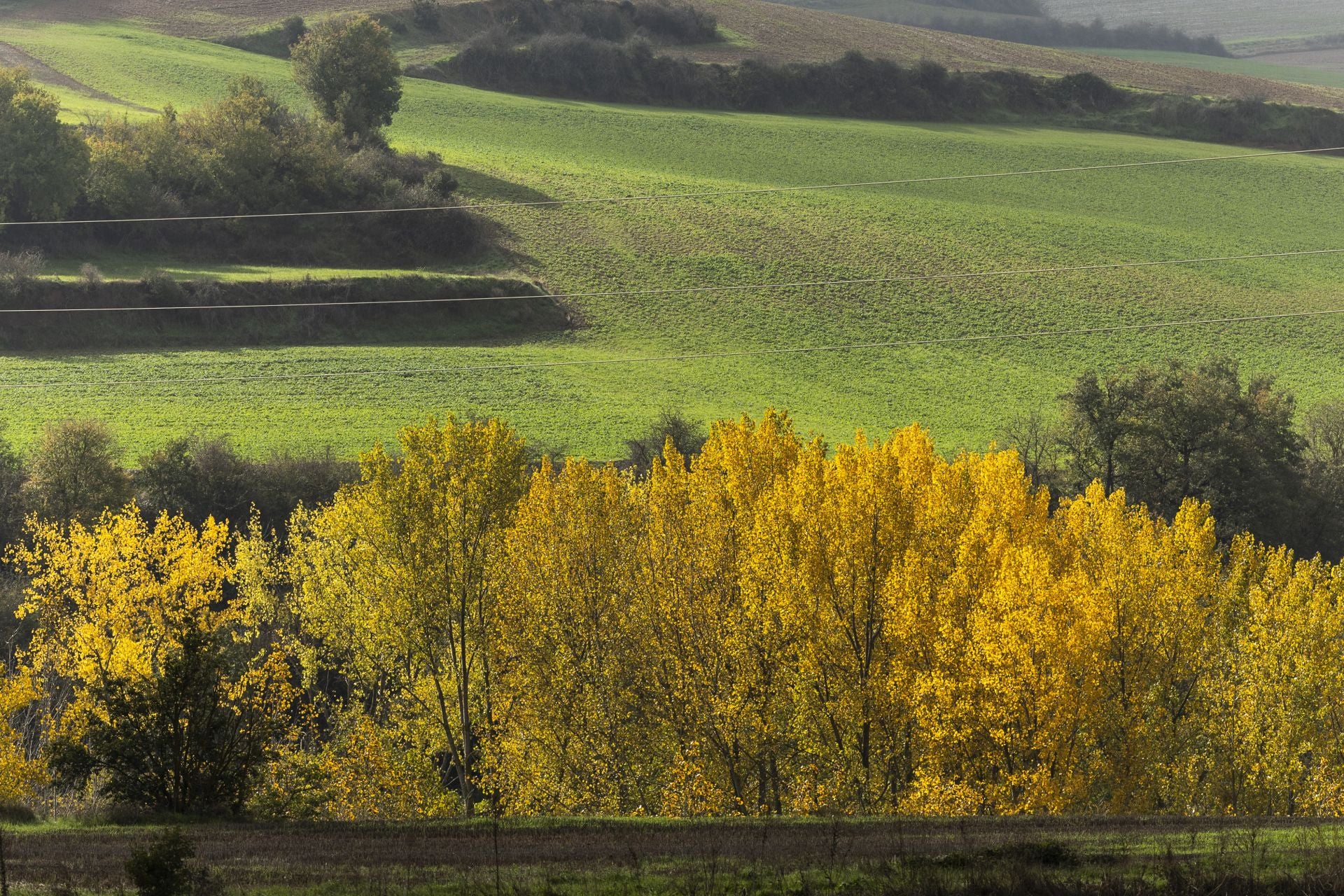 Colorido otoño riojano