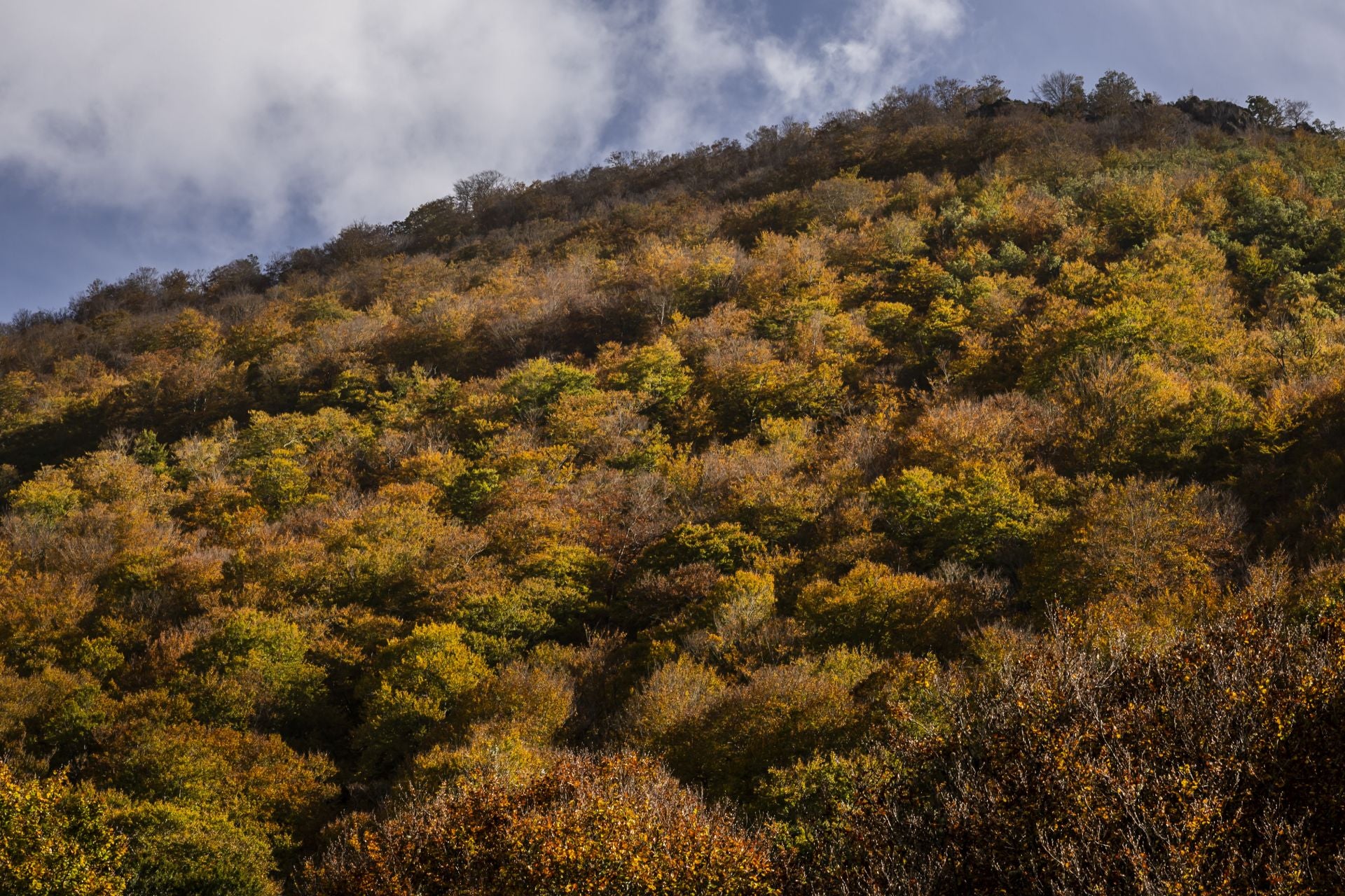 Colorido otoño riojano