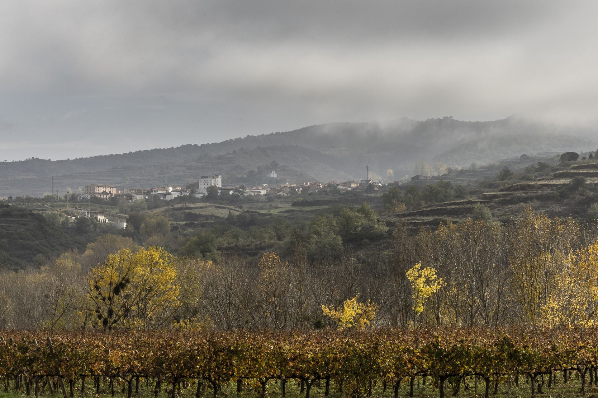 Colorido otoño riojano