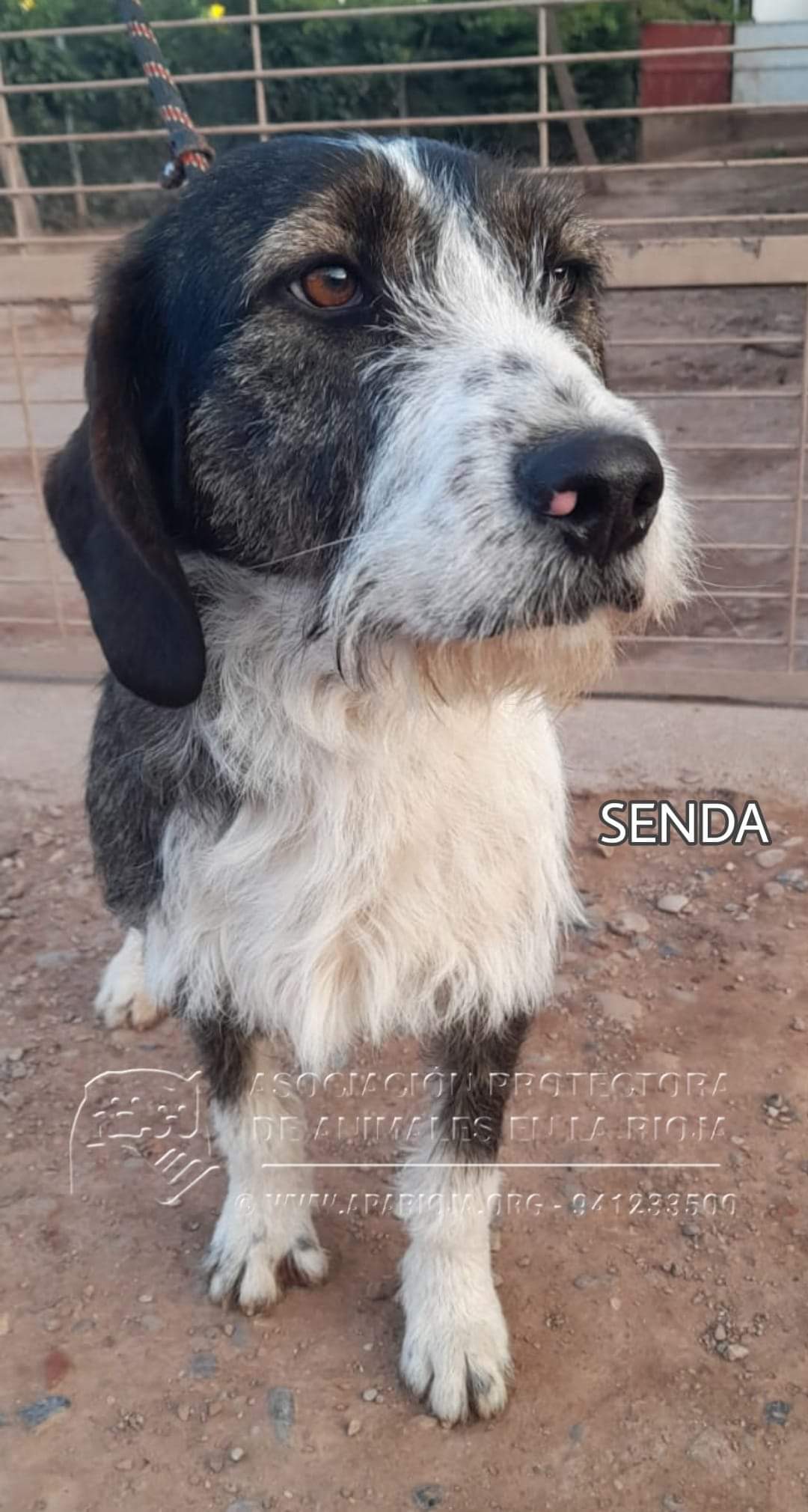 Senda.